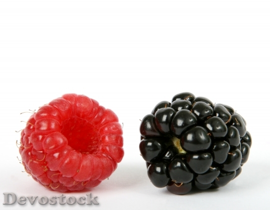 Devostock Berry Black Blackberry Blueberry 3