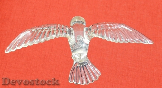 Devostock Bird Glass Decoration Design
