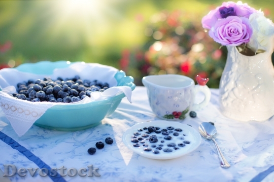Devostock Blueberries Cream Dessert Breakfast