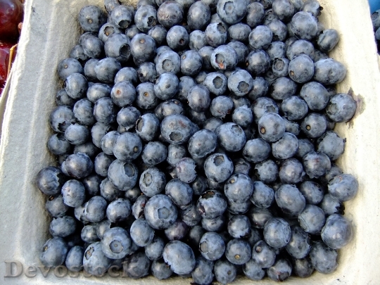 Devostock Blueberries Fruit Eat Fresh