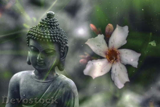 Devostock Buddha Flower Buddhism Religion 0