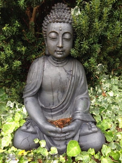 Devostock Buddha Garden Buddhism Zen