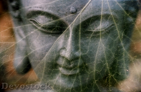 Devostock Buddha Leaf Religion Statue 0