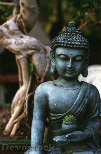 Devostock Buddha Meditation Statue Religion 0