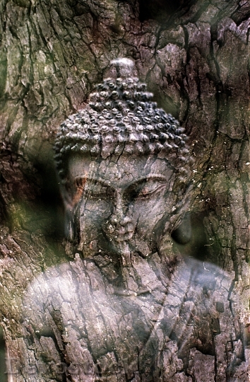 Devostock Buddha Meditation Statue Religion