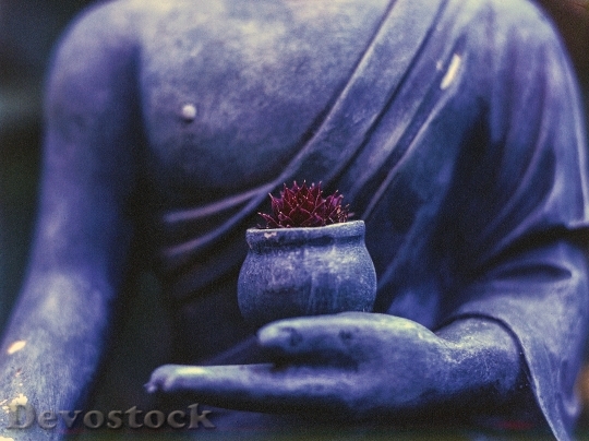 Devostock Buddha Plant Religion Buddhism