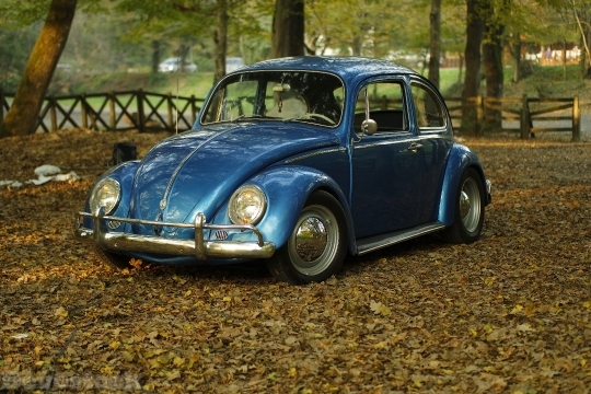 Devostock Car Vintage Park 5065 4K