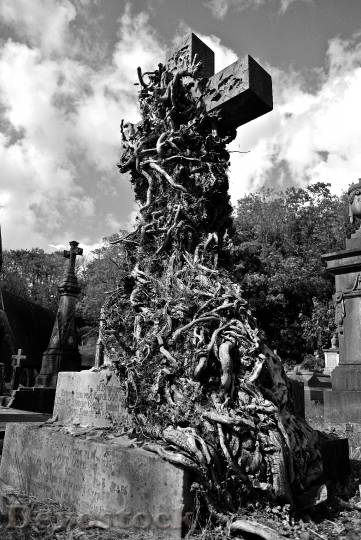 Devostock Cemetery Burial Graveyard Death 1