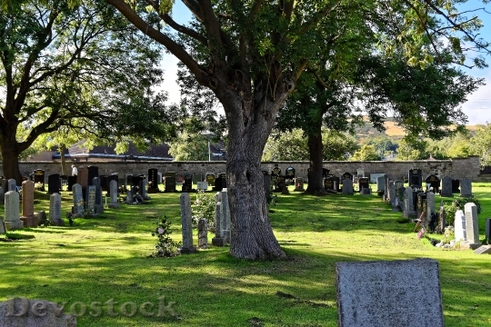 Devostock Cemetery Gravestones Grave 959414