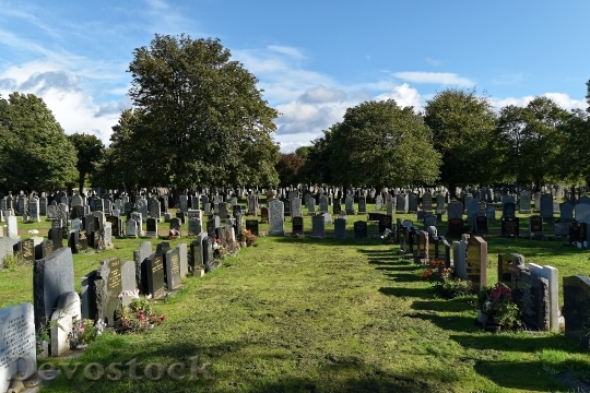 Devostock Cemetery Trees Headstones Graves 0