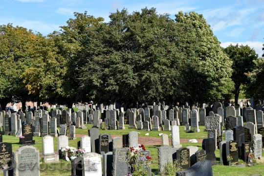 Devostock Cemetery Trees Headstones Graves