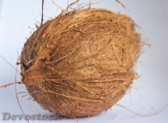 Devostock Coconut Dried Food Snack