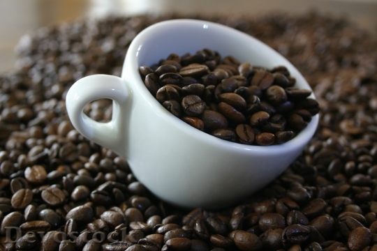 Devostock Coffee Bean Cup Good