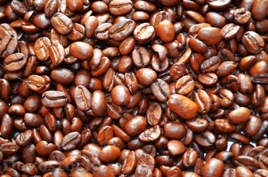 Devostock Coffee Beans Benefit From