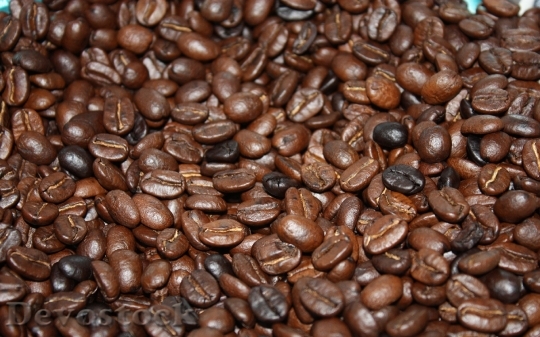 Devostock Coffee Beans Brown Coffee 0
