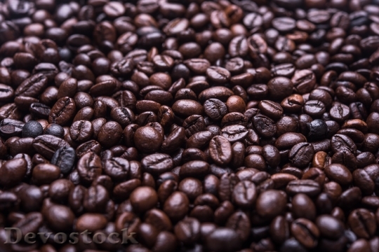 Devostock Coffee Beans Coffee Beans B 9