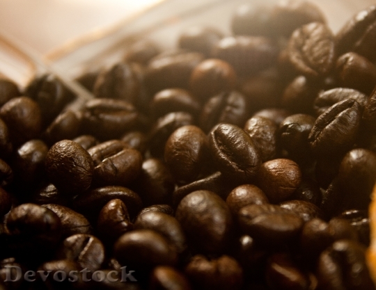 Devostock Coffee Beans Coffee Caffeine