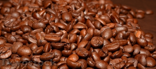 Devostock Coffee Beans Coffee Roasted 2