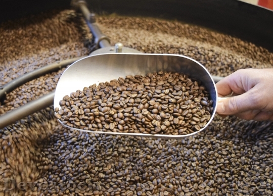 Devostock Coffee Beans Espresso Roasted 2