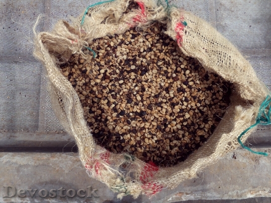 Devostock Coffee Beans Finka Import 0