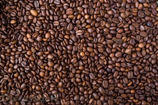 Devostock Coffee Beans Food Texture
