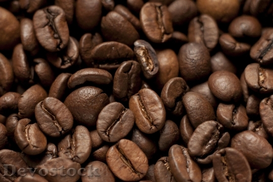 Devostock Coffee Beans Roasted Brown 1