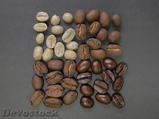 Devostock Coffee Beans Square Divisions