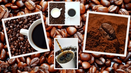 Devostock Coffee Coffee Beans Aroma 0