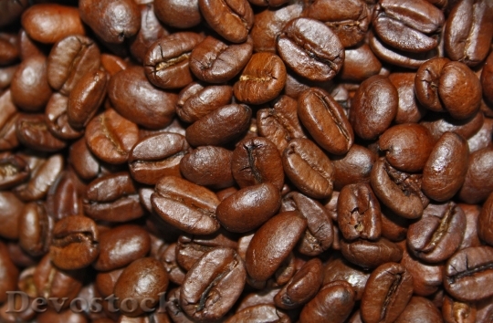 Devostock Coffee Coffee Beans Aroma