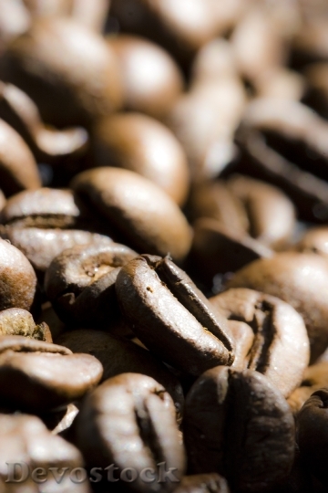 Devostock Coffee Coffee Beans Beans 4