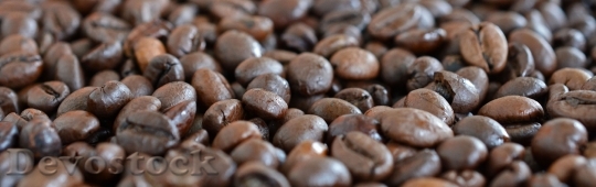 Devostock Coffee Coffee Beans Beans 8