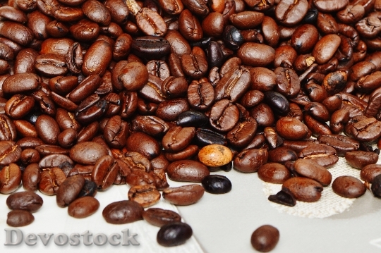 Devostock Coffee Coffee Beans Cafe 10