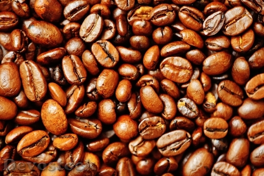 Devostock Coffee Coffee Beans Cafe 17