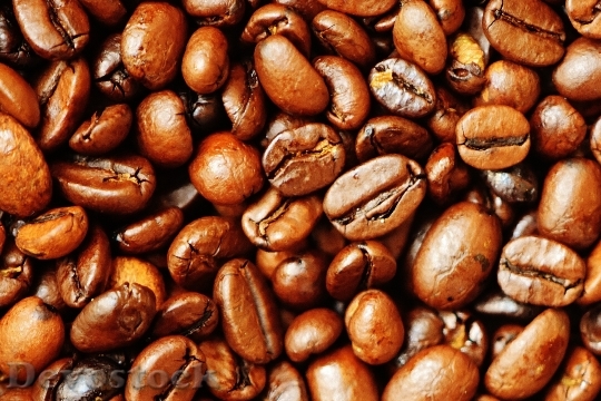 Devostock Coffee Coffee Beans Cafe 18