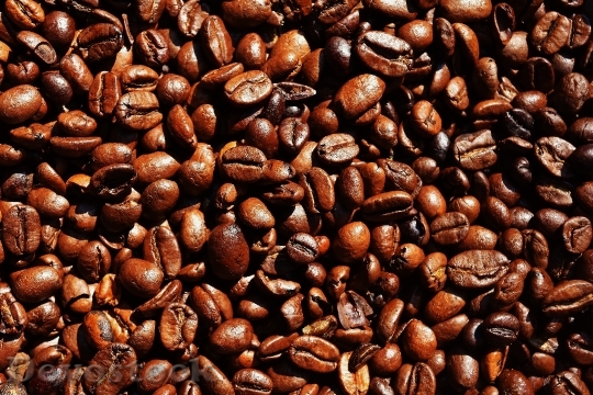 Devostock Coffee Coffee Beans Cafe 19