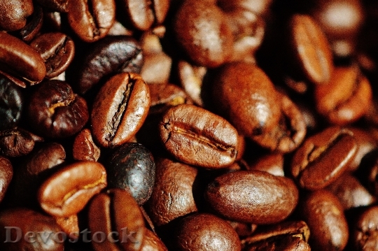Devostock Coffee Coffee Beans Cafe 2