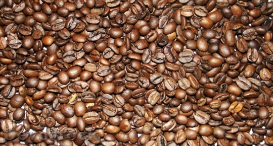 Devostock Coffee Coffee Beans Caffeine