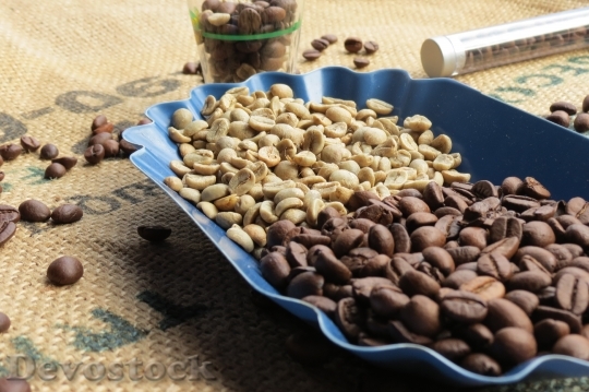Devostock Coffee Coffee Beans Green 0