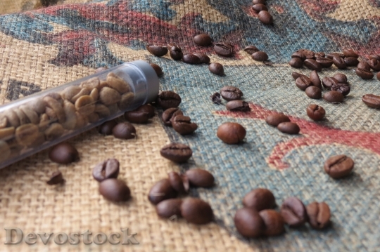 Devostock Coffee Coffee Beans Green