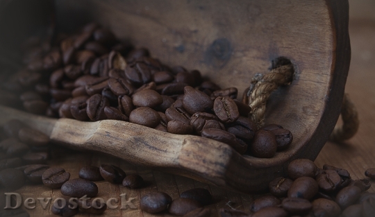 Devostock Coffee Coffee Beans Natural 1