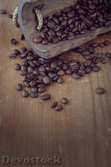 Devostock Coffee Coffee Beans Roasted 28