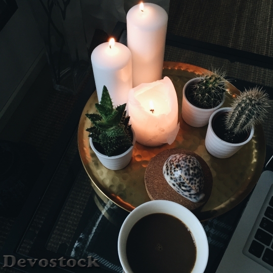 Devostock Coffee Light Cactus Interior