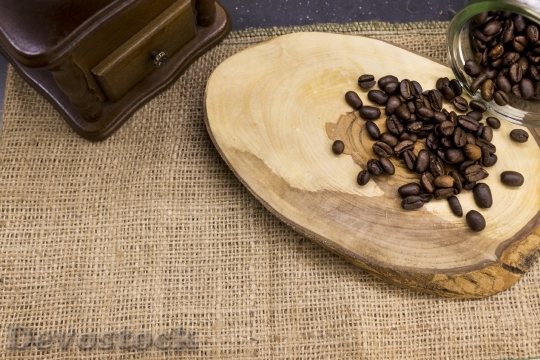 Devostock Coffee Seed Coffee Seeds 0