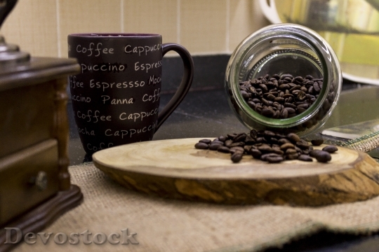 Devostock Coffee Seed Coffee Seeds 1