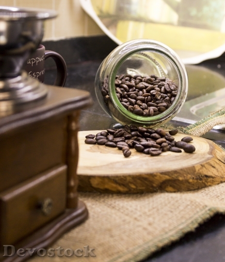 Devostock Coffee Seed Coffee Seeds