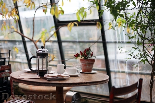 Devostock Conservatory Coffee Plants Table