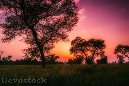 Devostock Dawn Landscape Sunset 2934