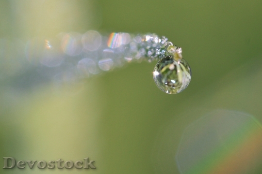 Devostock Dewdrop Drop Water Dew