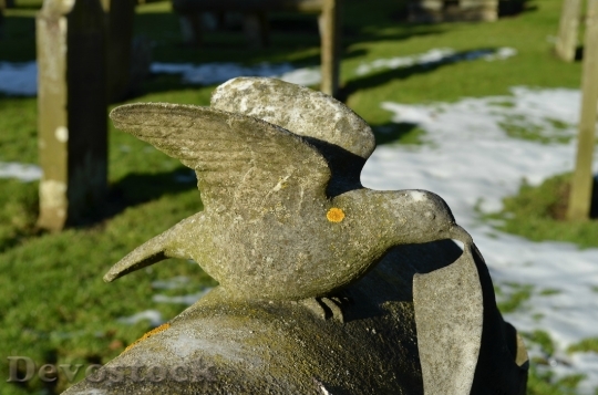 Devostock Dove Gravestone Cemetery Graveyard