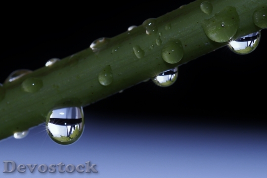Devostock Drip Raindrop Drop Water